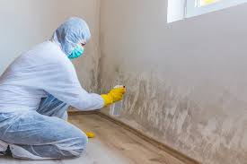 Mold Odor Removal Services in Diamond Bar, CA